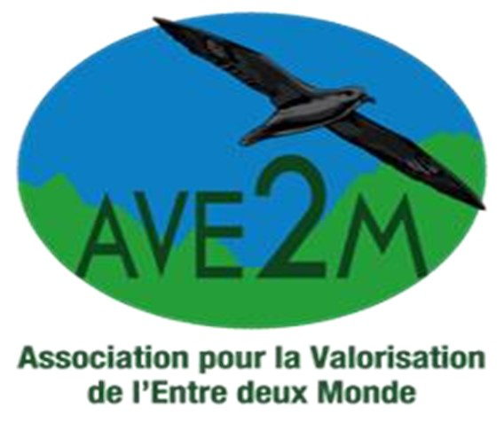 Logo AVE2M